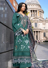 Winter - Al Zohaib - Wintry Breeze - WB-26#04