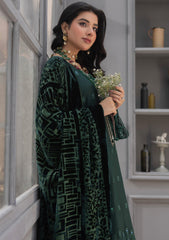 Winter - Meemsey - Monal 25 - Velvet Shawl - MVS#04