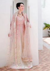 Formals - Mushq - Bachelorette Chronicles Chiffon 26 - D#110 - Last Fling