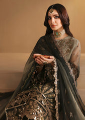 Formal Collection - Alizeh - Reena - Wedding - ARW#24 - HM-4021 - Jiya