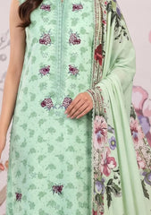 Winter - Humdum - Laiba 26 - D#02