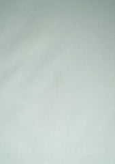 Platinum Classic Color# (144-Serene Green)