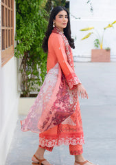 Lawn - Seraph - Lumineer 25 - Tangerine