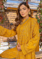 Winter Collection - Bin Rashid - Jahanara - BRJ24#06