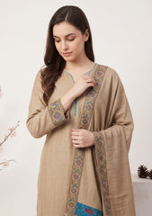 Winter - Riwaj - Pashmina Qalamkar Patch Work Suit - D#18 - Brown