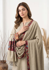 Winter - Riwaj - Pashmina Jamawar Patch Work Suit - D#13 - L Skin