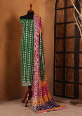 Formals - Bahawalpur Pehnawa - Chiffon - 2 Piece - D#13