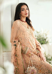 Formals - Mushq - Shaam Shandar - Chiffon 25 - TARANNUM