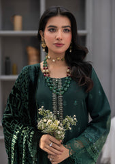 Winter - Meemsey - Monal 25 - Velvet Shawl - MVS#04