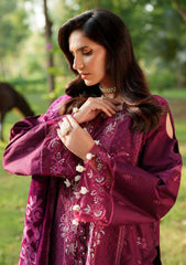 Winter - Parishay - Panache - Palachi Shawl 25 - PNE#04