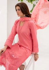 Lawn - Rajis Clothing - Noor-e-Jaha - Chikankari 26 - RJ#04