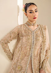 Formals - Meeral - Celestia Wedding 26 - D#1187 - ANASTASIA