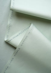 Platinum Classic Color# (144-Serene Green)