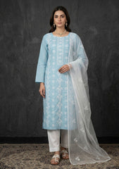 Formals - Riwaj - Fancy 26 - Thread Work - 2 Pcs - D#03 - L Zink