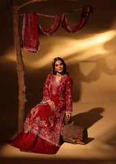 Formals - Aylin - Silk Edit - Unstitched 25 - Velory