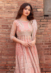 Formals - Bin Ilyas - Sona Gachi - Luxury 25 - D#604