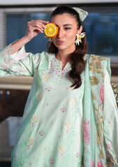 Neeshay - Symphony - Luxury Lawn 26 - Aizere