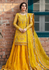 Formal Collection - Akbar Aslam - Layali - ASL24#1482 - Cailin