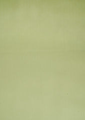 Pasha Platinum Textures Color#(008-Kalmi)