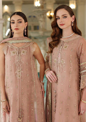 Formals - Noor By Saadia Asad - Festive Unstitched 25 - NFU#04
