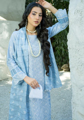 Lawn - Banafsheh - Chikankari Luxury 25 - BN-304