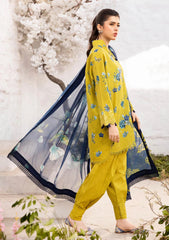 Lawn - M.Basics - Summer Unstitched 25 - MUS#02A
