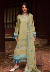 Winter - Marjjan - Bella 25 - Embroidered Karandi - MWK#42 A - OLIVE GREEN