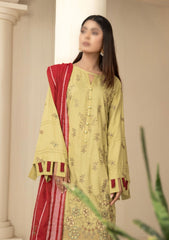 Winter Collection - Fantak - Staple Slub - FSS#08