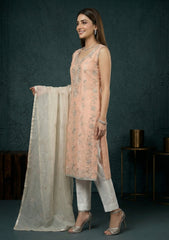 Formals - Riwaj - Fancy 26 - Gotta Work - 2 Pcs - D#03 - Beige & Peach