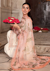 Formals - M.Basics - Festive Unstitched 25 - MB-FUS25#805