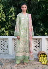 Lawn - Neeshay - Summer Lines - PrintnKari 26 - VERNA