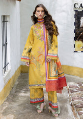 Winter - Mushq - Hemline Mirasol - Intermix 25 - HML#07B - Sol Arena