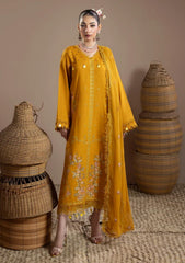 Winter - Humdum - Mushak - Embroidered Karandi 26 - D#05