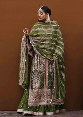 Formal Collection - Hussain Rehar - Zaib-un-nisa - Zaitoon