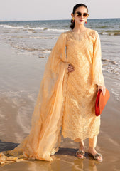 Lawn - Riaz Arts - Tehzeeb Chikankari - RT25# 430