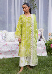 Winter - Mahnur - Gardenia - Khaddar 25 - GR#03