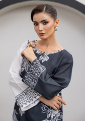 Pret - Rubaaiyat - Co-Ords - Edit 25 - D#29