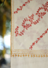 Pashmina Kashmiri Jaaldar Shawl D - 29 - Off White