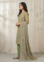Lawn - Rubaaiyat - Chikankari 26 - Organza Dupatta - D#01 - D Grey