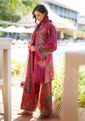 Lawn - AJR Couture - Printed Chikankari 26 - Amaira