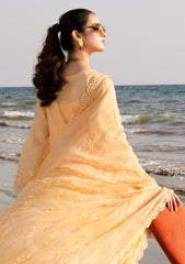 Lawn - Riaz Arts - Tehzeeb Chikankari - RT25# 430