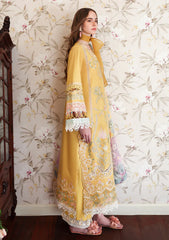 Lawn - Esmel - Belle Saison 26 - EUNSS#201 - Belinea