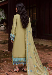 Winter - Marjjan - Bella 25 - Embroidered Karandi - MWK#42 A - OLIVE GREEN