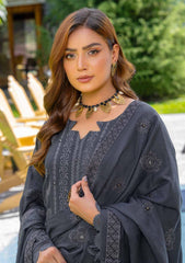 Winter Collection - Bin Rashid - Jahanara - BRJ24#04