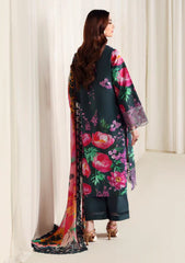 Winter - Naqsh - Zyrah 25 - D#182 - ZINC