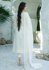 Lawn - Banafsheh - Chikankari Luxury 25 - BN-305