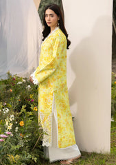 Lawn - Rajbari - Summer Printkari 26 - D#05