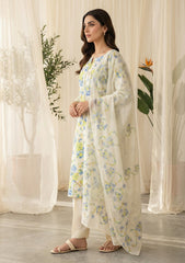 Lawn - Rubaaiyat - R Prints 26 - Volume 3 - D#30 - Y White