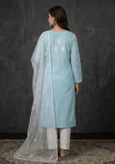 Formals - Riwaj - Fancy 26 - Thread Work - 2 Pcs - D#03 - L Zink