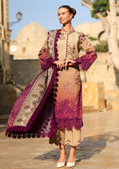 Winter - Rang Rasiya - Carnation 25 - Luxury Shawl Edit - CWD#08 - Chai